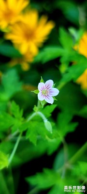 【與美好相逢】+與靜物相逢