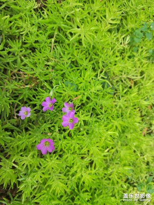 留住生活中的美景