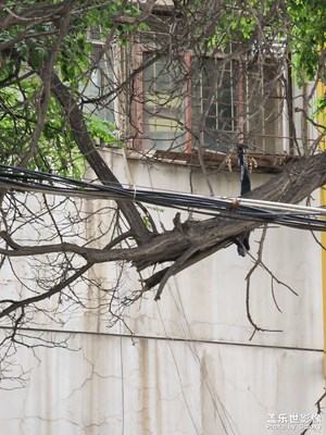 10倍焦聚很贊喲