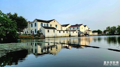 下班回家路上隨拍