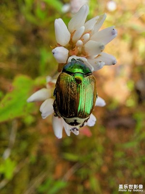 生活處處是驚喜