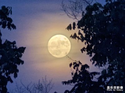 月亮月亮