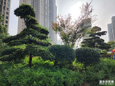 公園一樣的小區(qū)環(huán)境