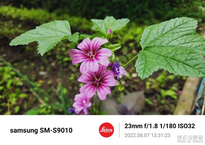 one ui  4.1原相機(jī)也不差啊