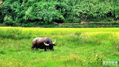 【場(chǎng)景小拍】+日常隨拍