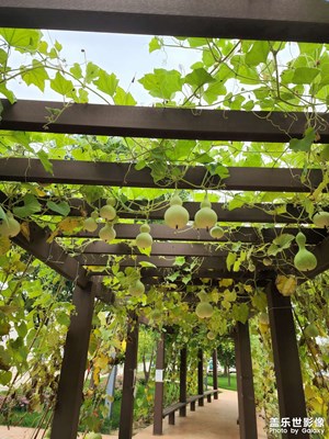 【美在身邊】+愛在初秋