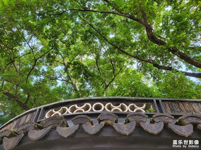 【美在身邊】公園一角