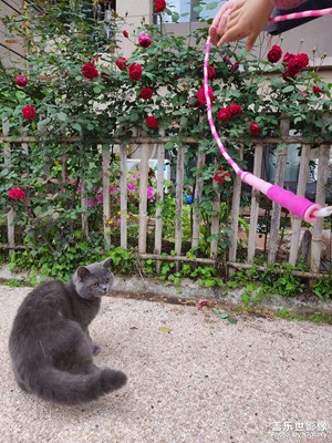 隨便發(fā)發(fā)