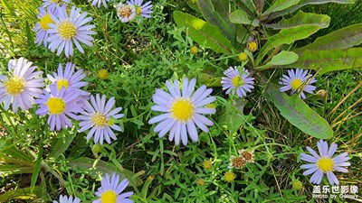 午后陽光明媚，小憩片刻