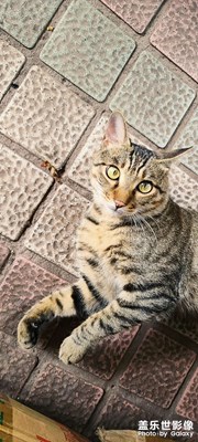 的確S系列拍攝才是旗艦應(yīng)有的范兒！