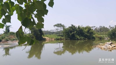 【秋日麗影】+?秋日小拍