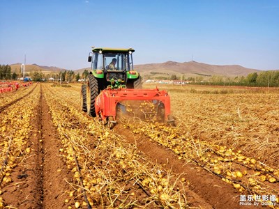 【秋日麗影】+?秋收