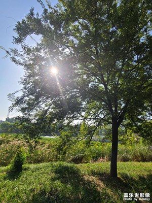 【你眼里的風(fēng)景】+ 秋日風(fēng)景