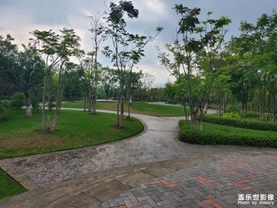 小森靈 大竹林濕地公園 重慶色彩