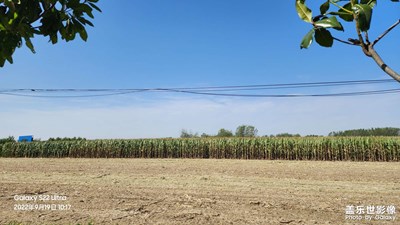 【你眼里的風(fēng)景】收獲的季節(jié)