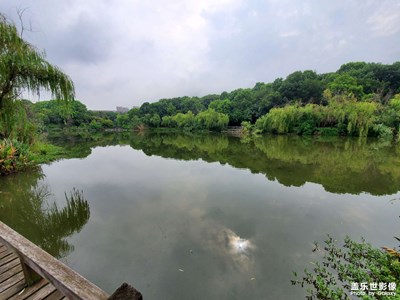 每日風(fēng)景照