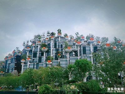 【我的小長假】放假好開心吖