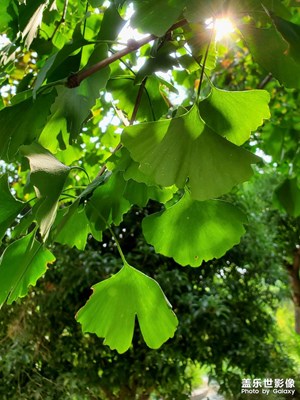 【我的小長(zhǎng)假】公園逛逛