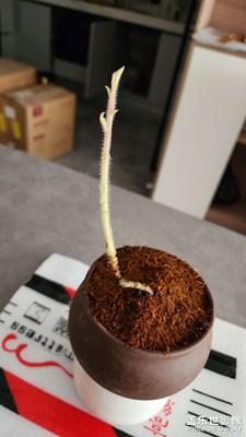 【我的小長(zhǎng)假】大家都在干嘛呢