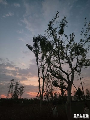 【我的小長(zhǎng)假】+傍晚游園