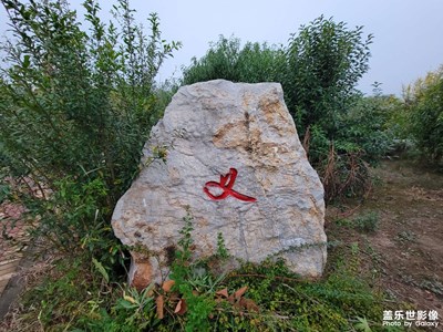 【我的小長假】+公園游記