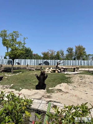 【我的小長(zhǎng)假】+動(dòng)物園之行