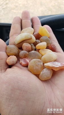 好久沒(méi)撿石頭了