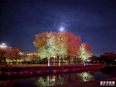 【我的小長假】+夜晚街頭公園散步??