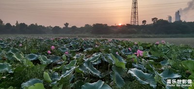 舊手機上的老家照片