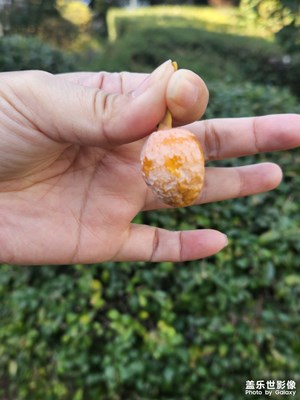 【我的小長(zhǎng)假】休閑散步