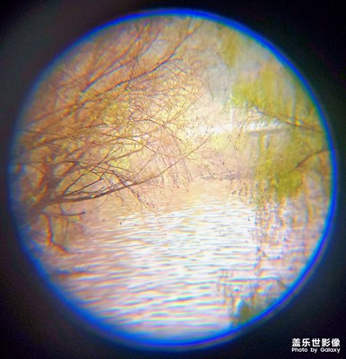 新視角