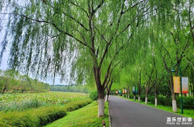 【假日隨拍】公園偶拍