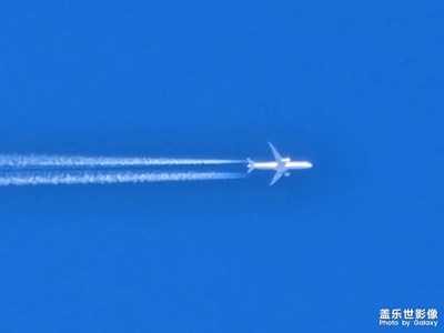 【我的小長假】+工作，疫情