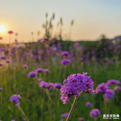 【我的小長假】無錫游