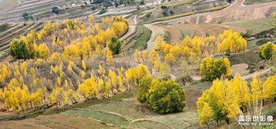 人相信自己是什么，自己就是什么