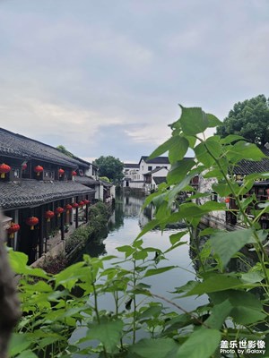 【我的小長(zhǎng)假】+江南水鄉(xiāng)一日游