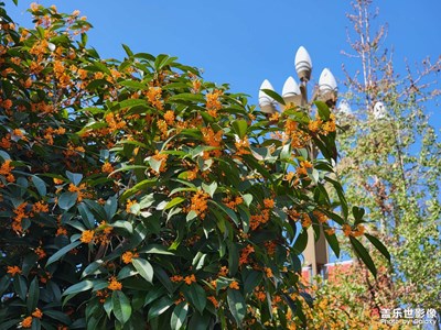 【我的小長假】+就地過節(jié)的快樂