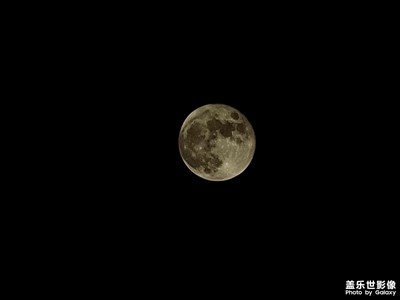 2022年10月10日拍的一些照片分享