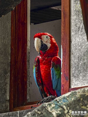 【假日隨拍】南昌動(dòng)物園