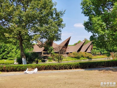 【我的小長假】+包場游玩鄭和公園