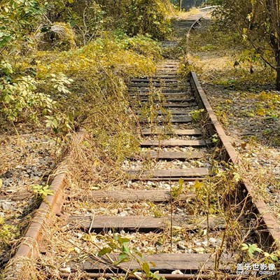 【我的小長(zhǎng)假】+斑駁記憶