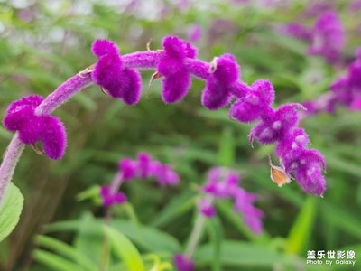 標題不想寫行不？