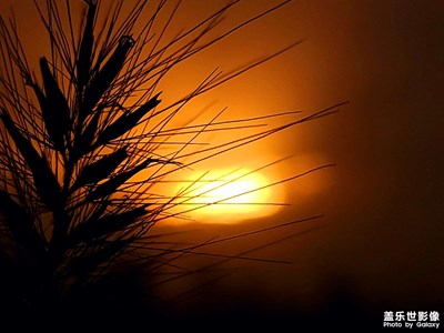 夕陽(yáng)之下