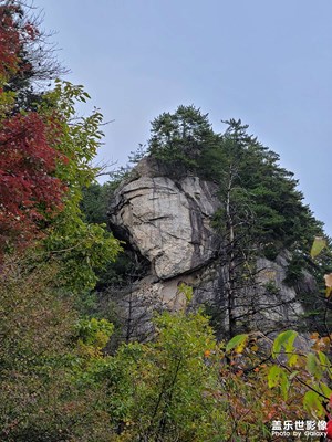 【秋意正濃】+ 東觀音山岱頂