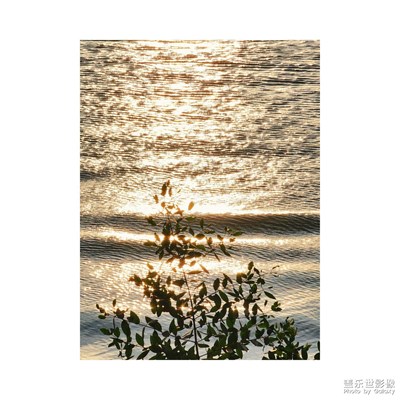 海平面上金色的波光