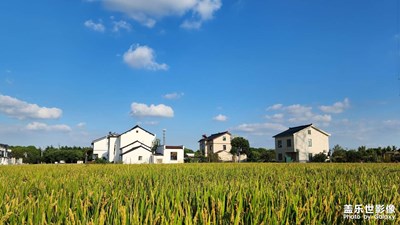 【秋意正濃】我的理想之地