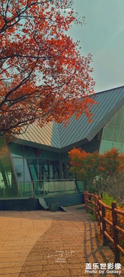 干凈的秋，干凈的秋天