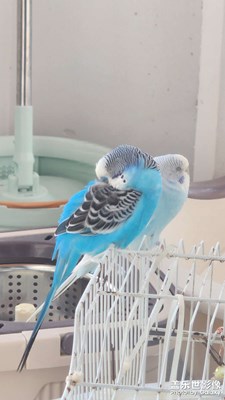 【秋意正濃】+?金秋十月