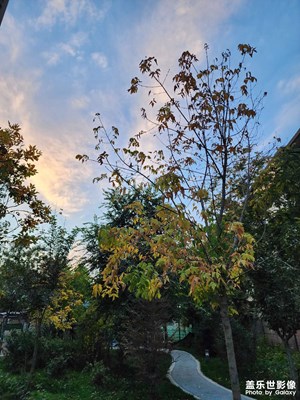 努力向天空伸展