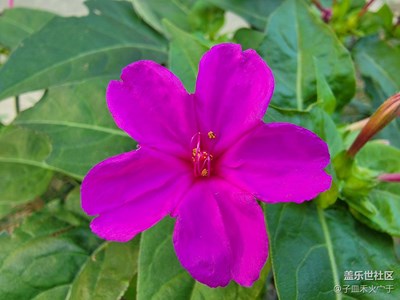 秋天+收獲的季節(jié)